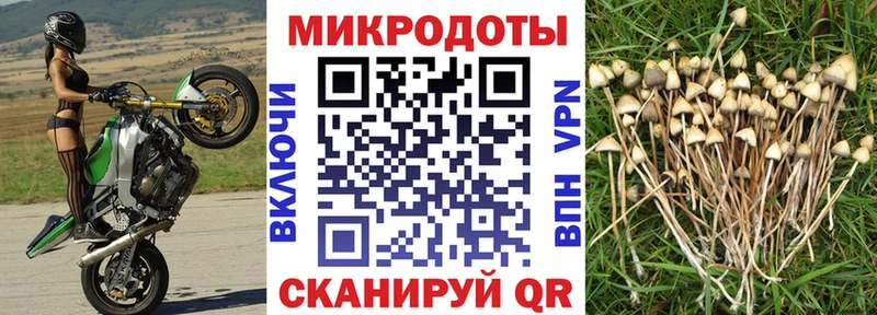 Купить  Люберцы  Галлюциногенные грибы ЛСД 